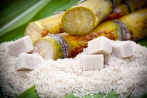 A close up of some food on a plate