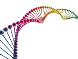 A rainbow colored dna strand is shown in this image.