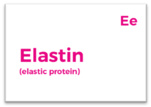 A pink and white card with the word elastin