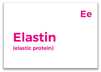 A pink and white card with the word elastin